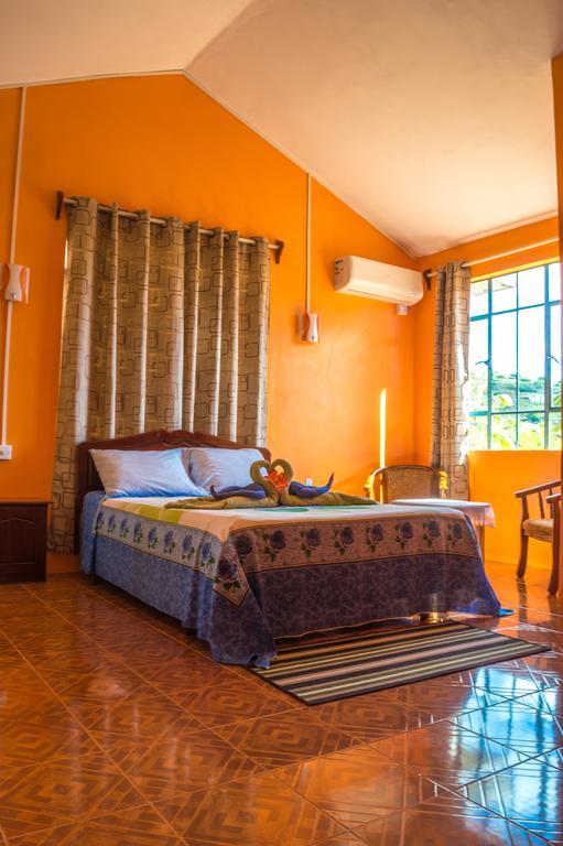 Merlin Guest House Nouvelle Découverte المظهر الخارجي الصورة